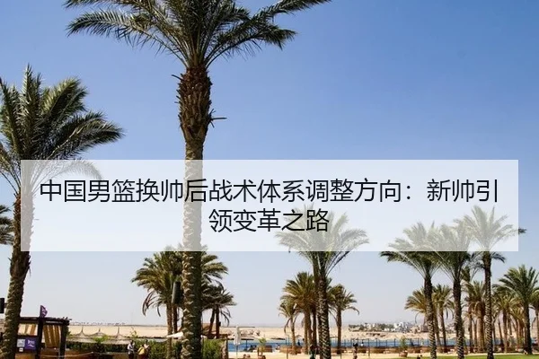 中国男篮换帅后战术体系调整方向：新帅引领变革之路